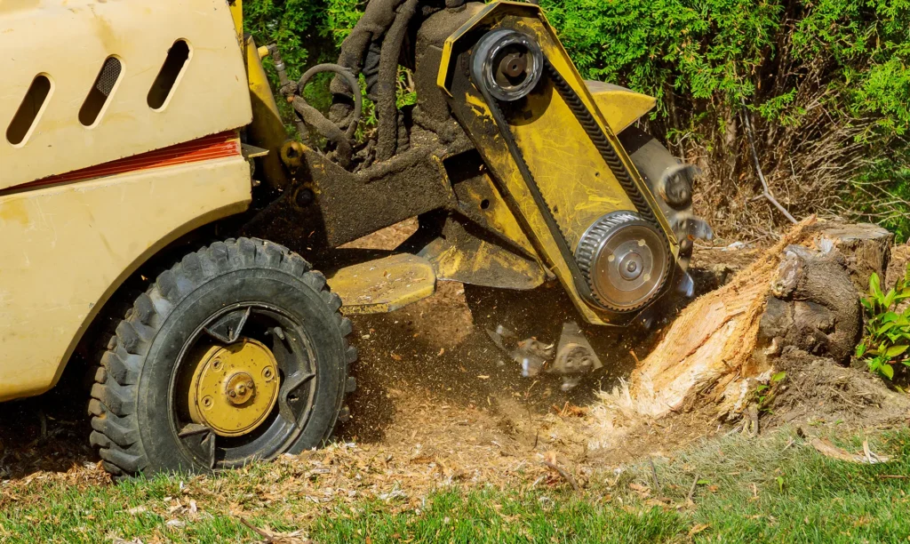 Stump being shredded by equipment.